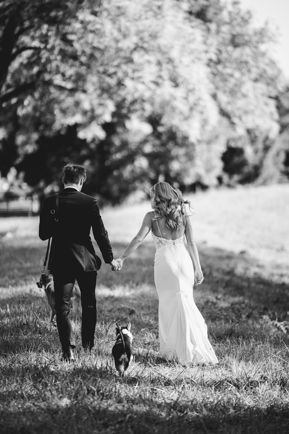 web_cikrtovi-wed-340