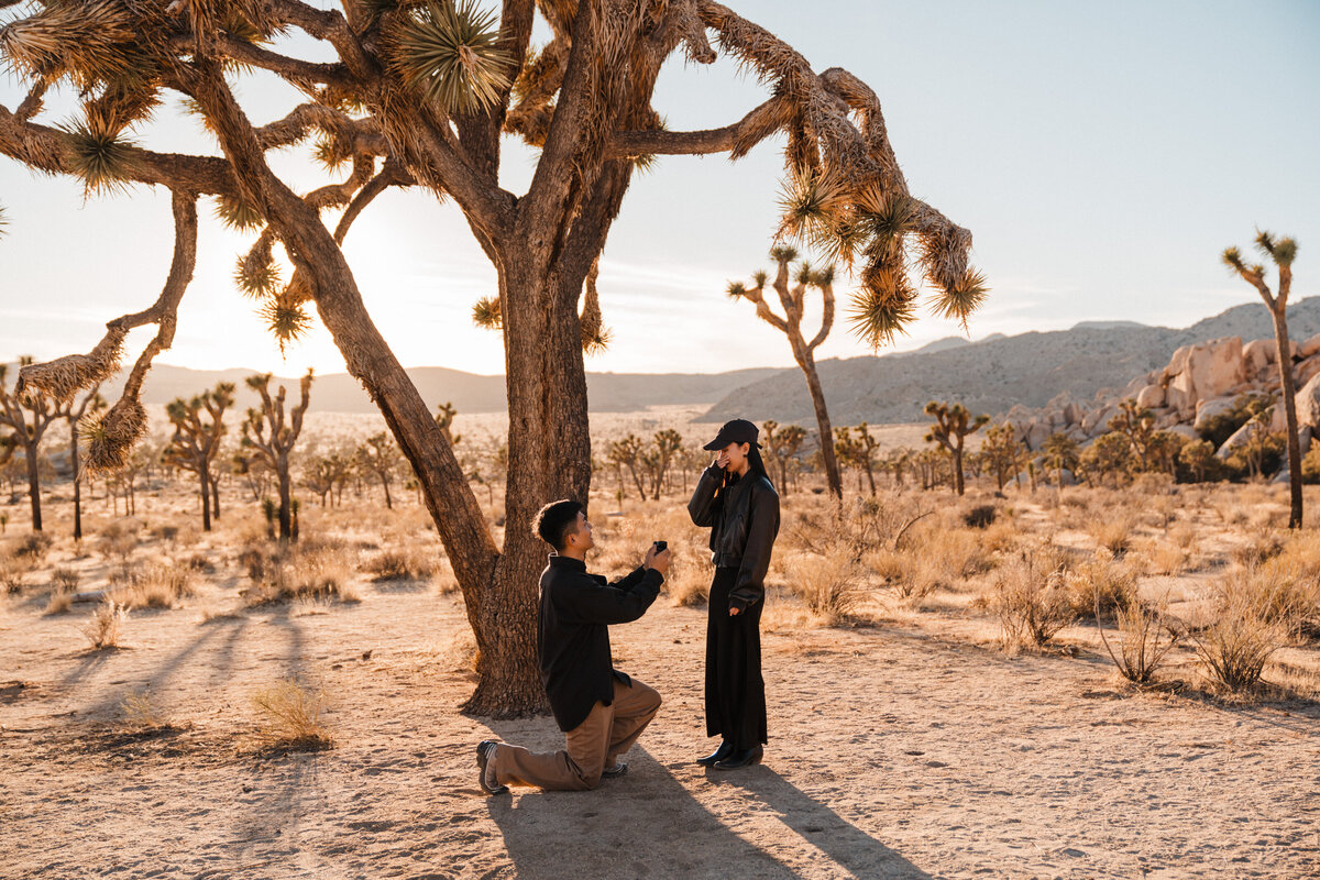 JJ-JOSHUA-TREE-NATIONAL-PARK-PROPOSAL-BY-ELOPEMENT-PHOTOGRAPHER-SYDNEY-AND-RYAN-121623-2