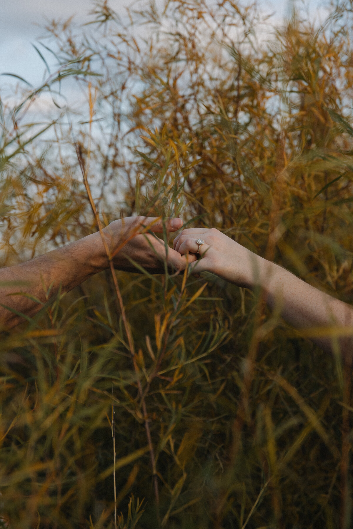 Engagement-29