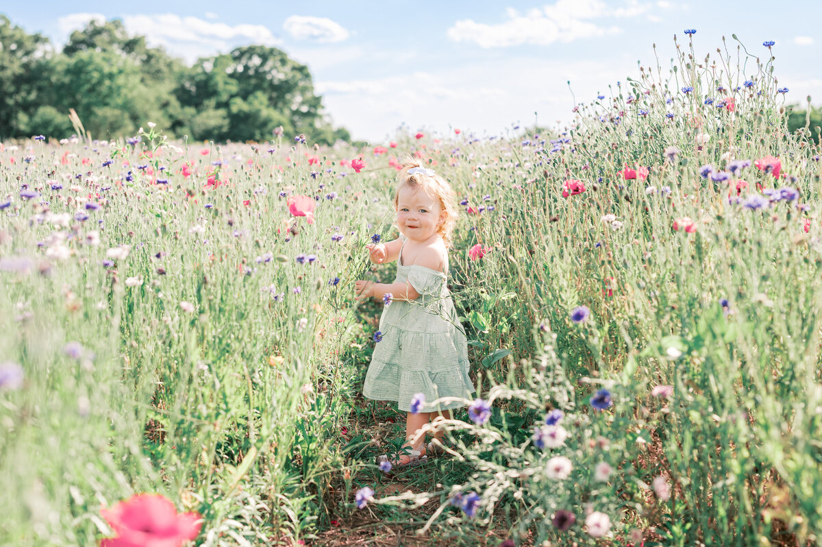 Wildflower - 1.22-8