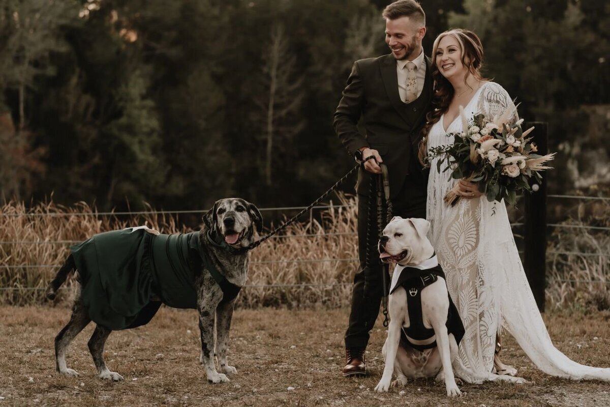 paisley-sunshine-white-rock-canyon-elope-in-tampa-chantilly-chic-celebrations-2