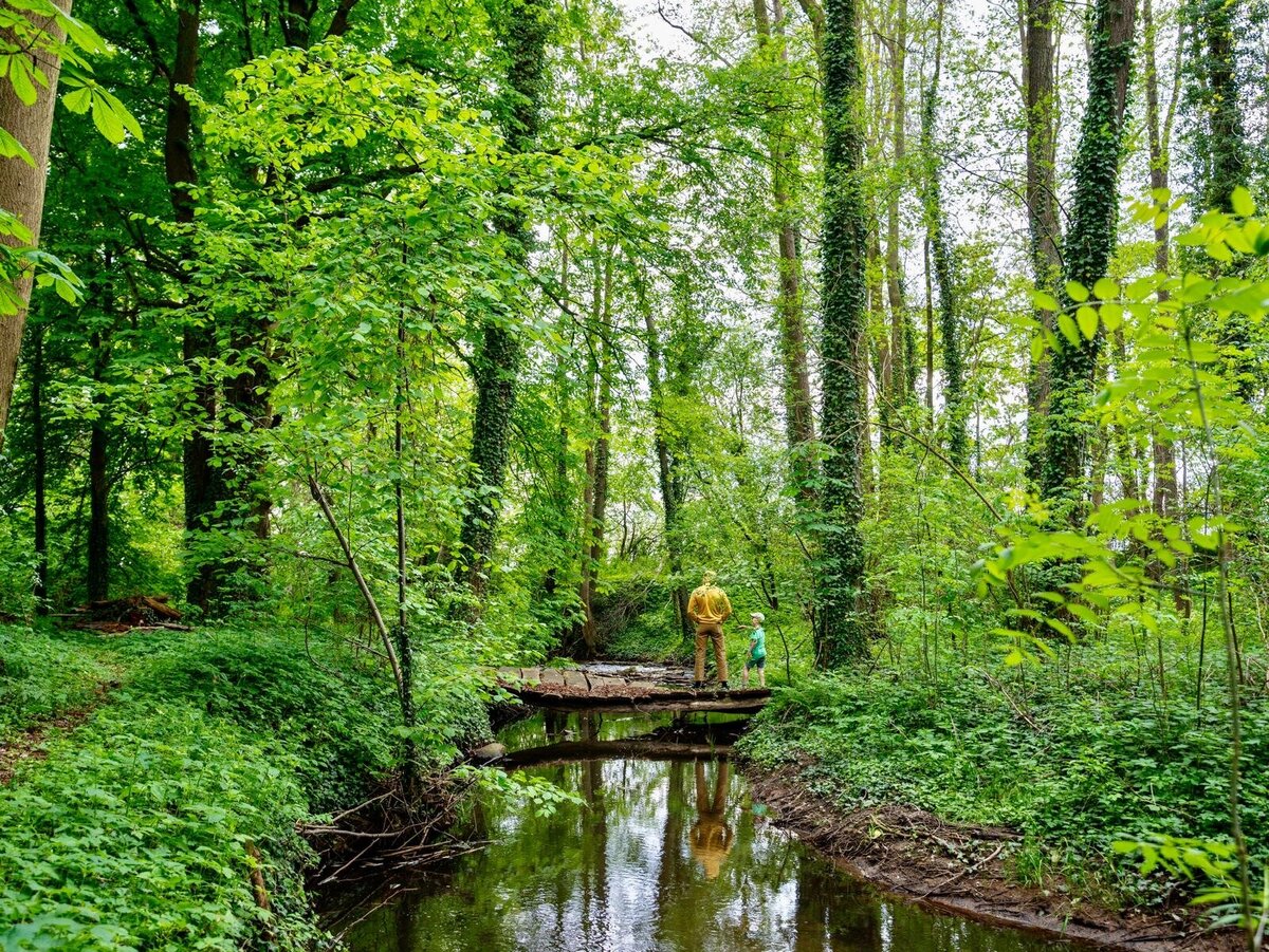 Wassermühle-Triglitz-Ferienunterkunft-Deutschland_1