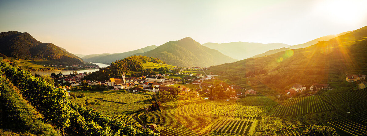 Sommerliche Abendstimmung über Spitz an der Donau – Sonnenuntergang über den typischen Weinbergterrassen der Wachau, festgehalten vom Fotograf Atelier Schulte – Spezialist für stimmungsvolle Landschaftsfotografie in Österreich.