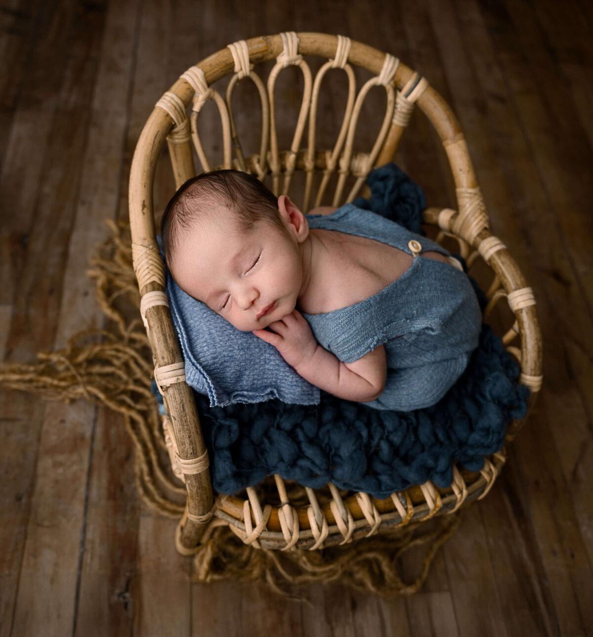 Erie Pa Newborn Photographer
