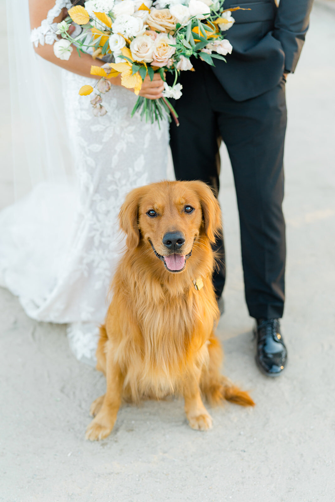 Charleston_Boone_Hall_Wedding__kailee_dimeglio_photography-924