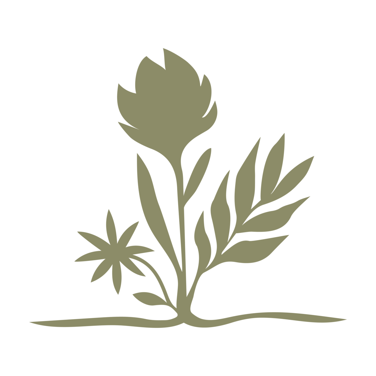 Plant illustration