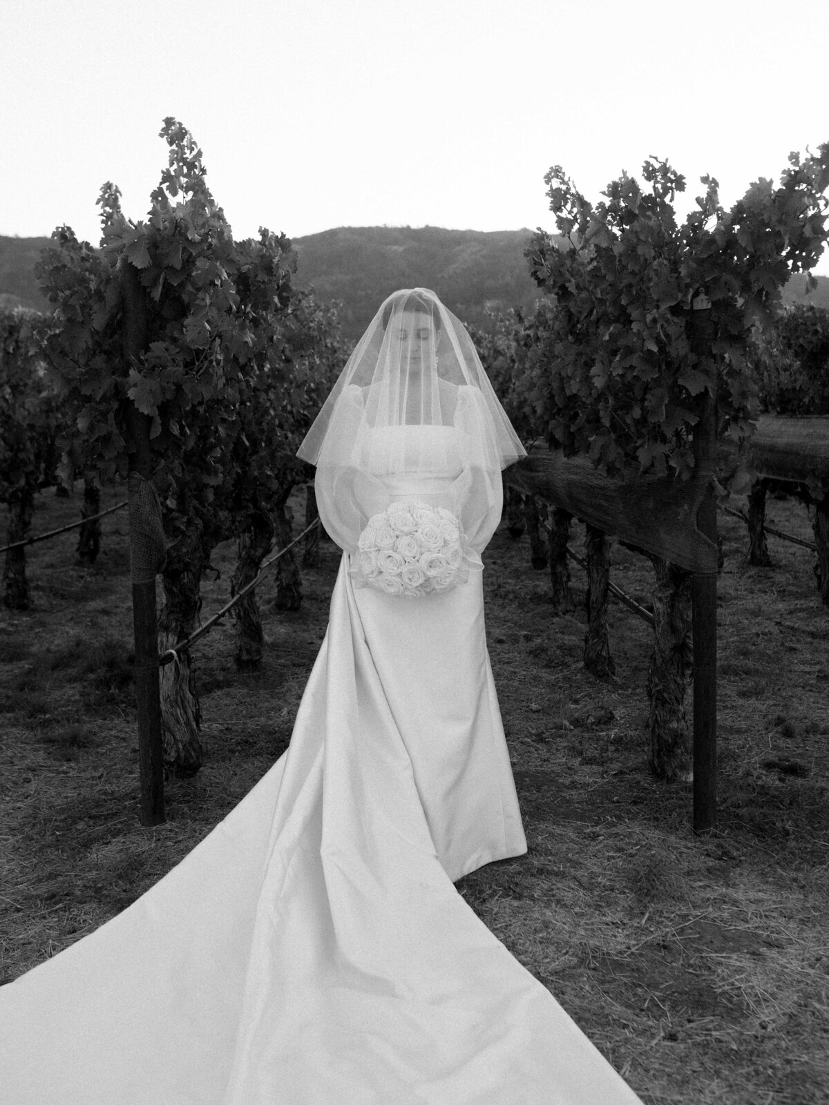 Morgan-Brooks-Photography-Napa-wedding-tre-posti-2024-6271