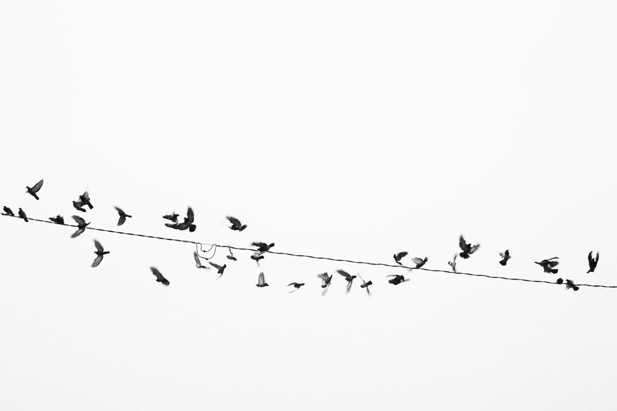 20141231_LONG_BEACH_ISLAND_0038_01bw