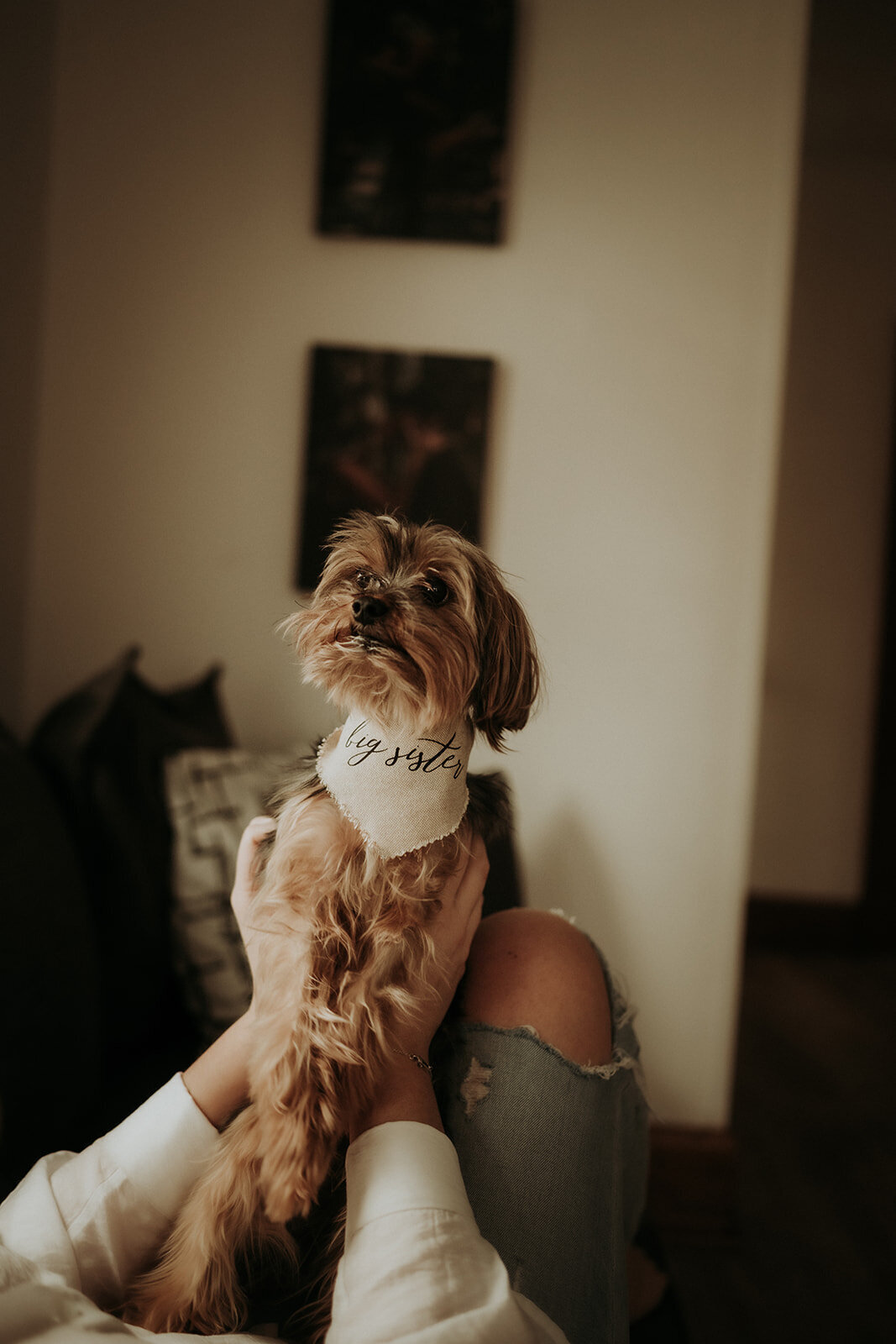 ZettelPhotography-3389