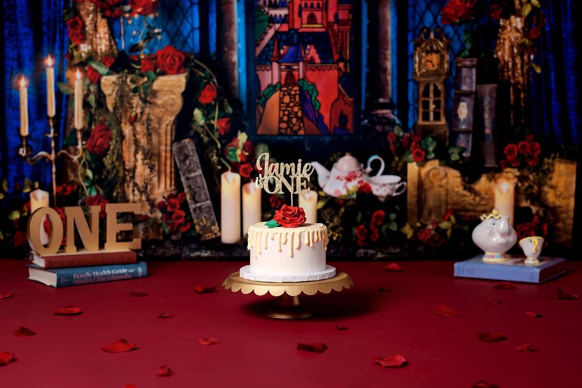 mobile-inhome-cakesmash-photography_vancouver-fraser-valley_first-birthday-beauty-and-the-beast-theme01
