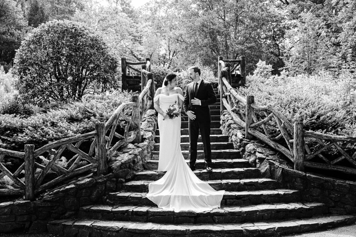 A couple getting married on th rustic stairs in Central Park