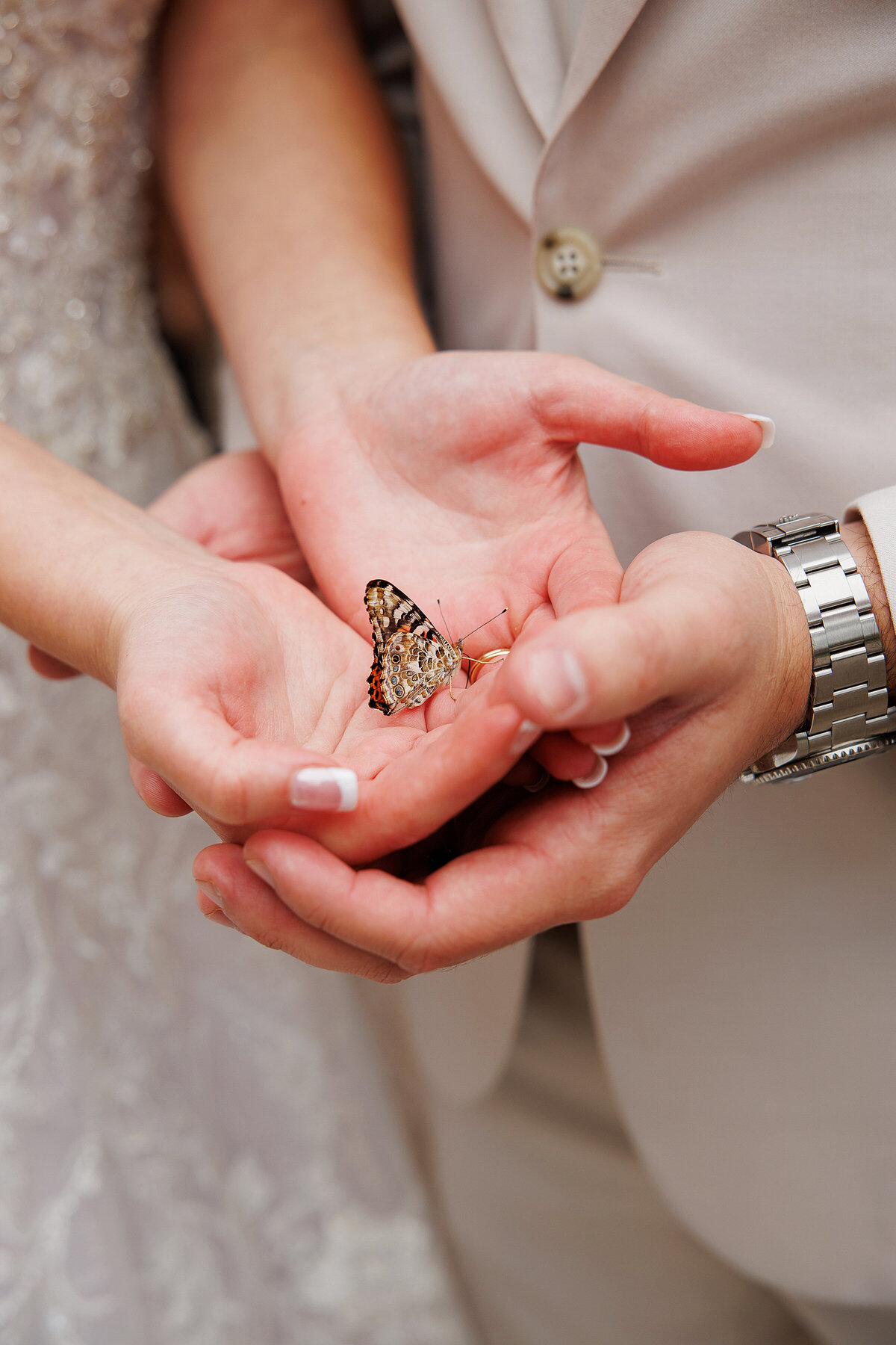 Knotting Hill Wedding Hampton Morrow Photography 0071
