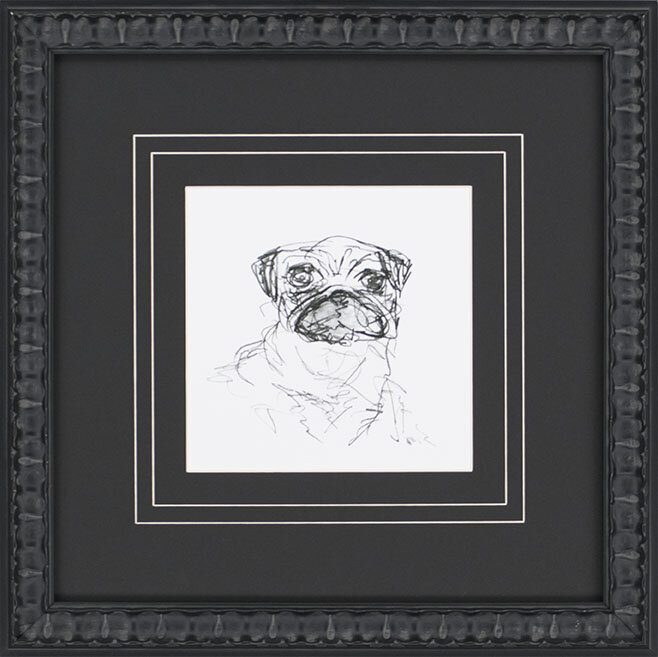 june-pug-paragon