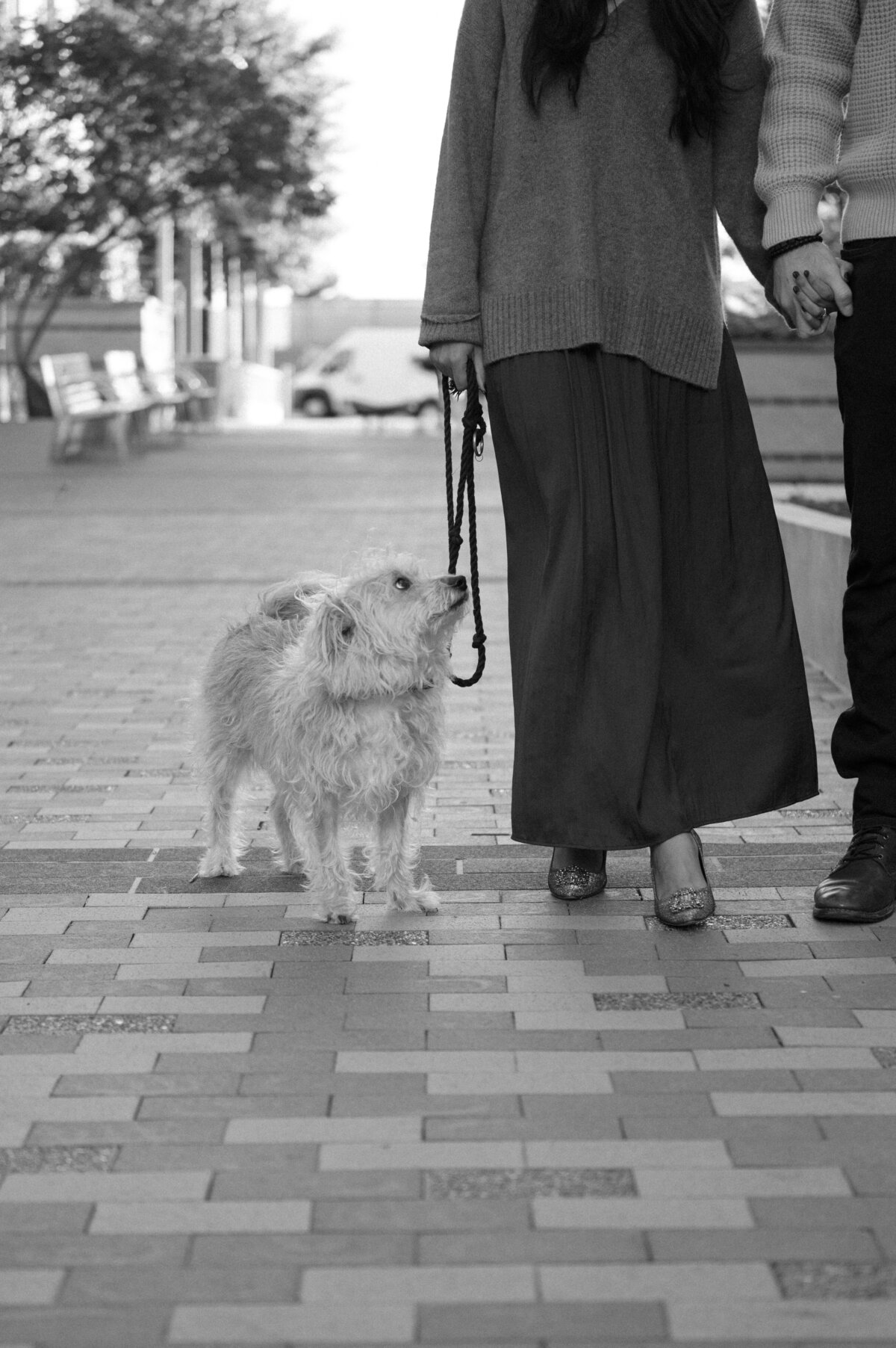 AllyandRich-Engagement-SneakPeek-KAP-26