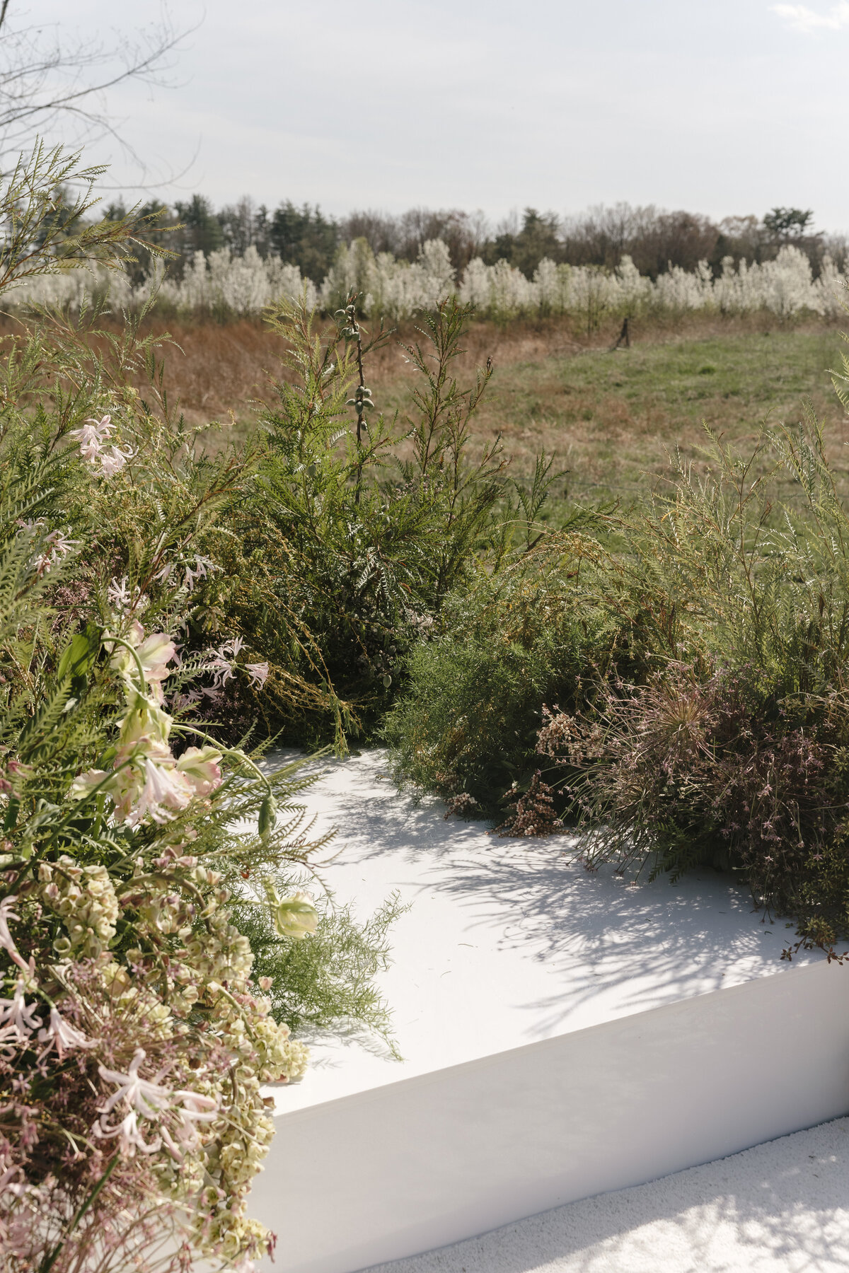 Wildflower Farms Wedding, Auberge Resort -45