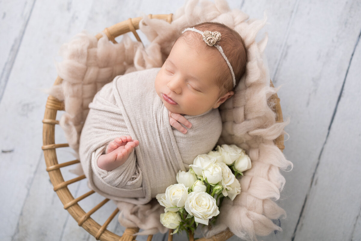 SHP_Newborn Addison S-24