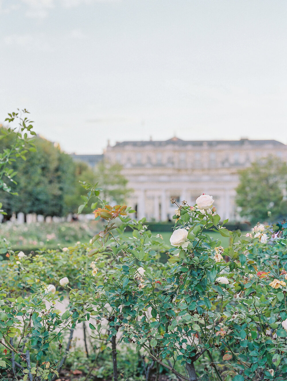 Palais Royale Chateau de Courtomercaptured by Luxury Destination Wedding Photographer Katie Trauffer