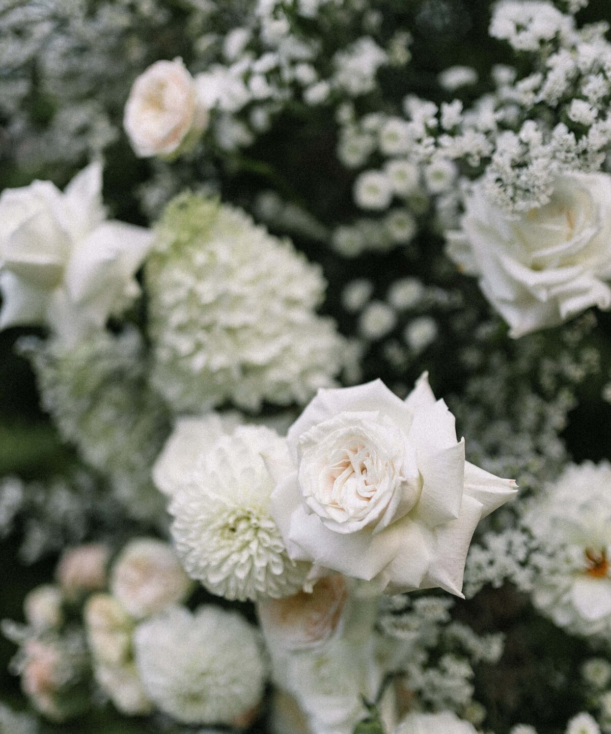 NikaHelgesonPhotography-CanadaWeddingPhotographer (31)