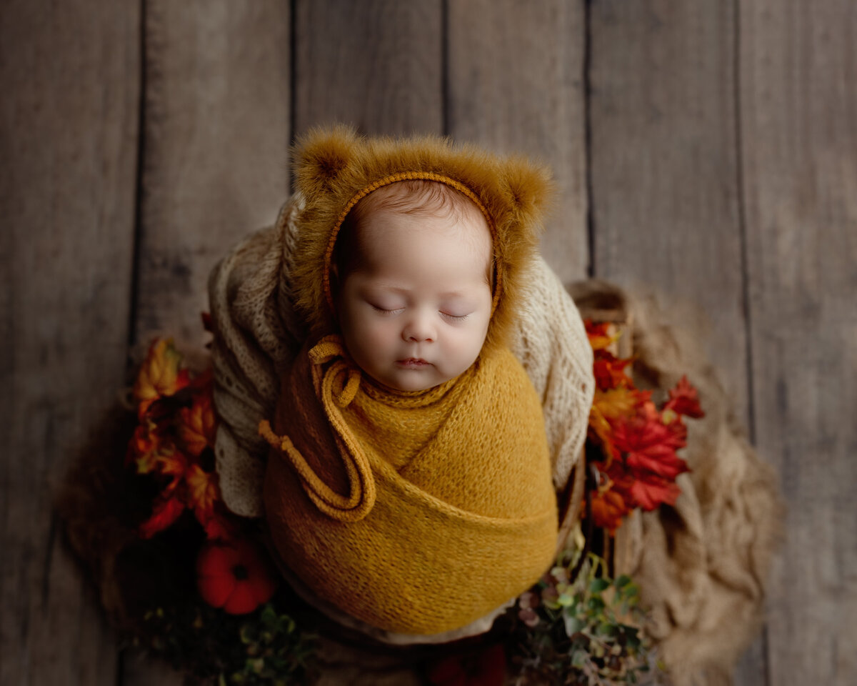 Warm fall tones and rustic textures surround this sleeping baby in a cozy mustard wrap and bear bonnet—perfect for your autumn-inspired gallery.