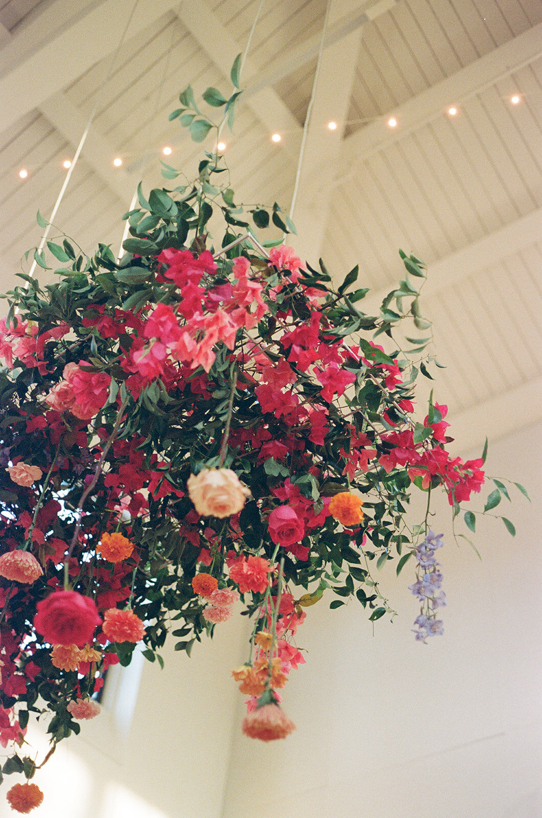 M_N_FILM_352_websize