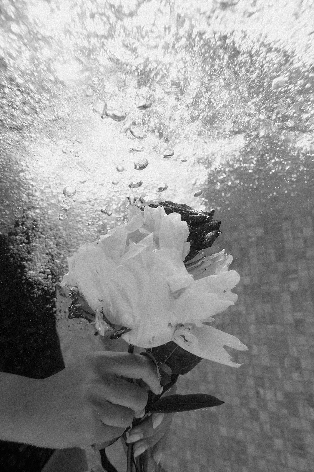 creative branding photoshoot-underwater series-01
