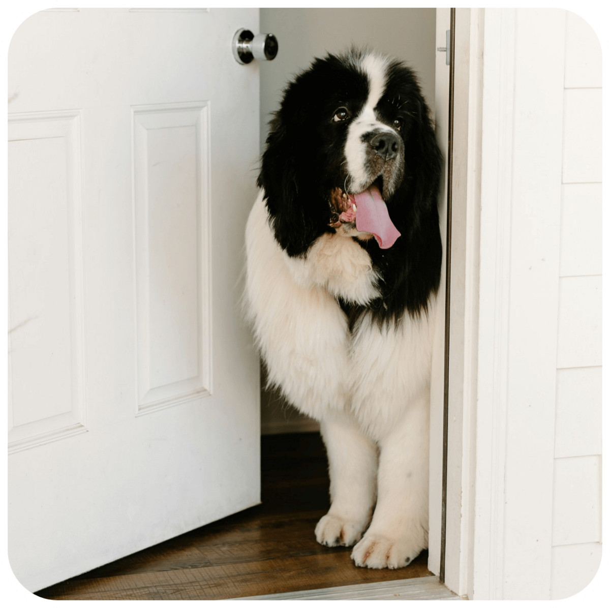 attaboys-and-attagirls-07