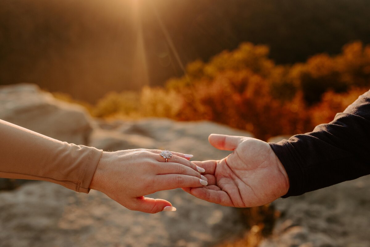Coopers-Rock-Dolly-Sods-West-Virginia-Engagement-Photos-Molly-Grunewald-Photography-Kaitlyn-Alex-166