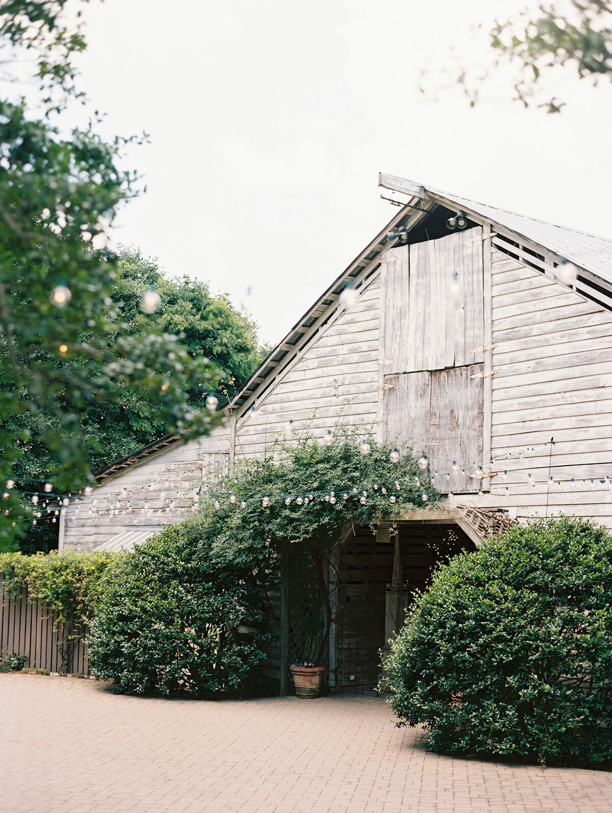 12ally-bobby-photography-fine-art-wedding-fearrington-inn-film