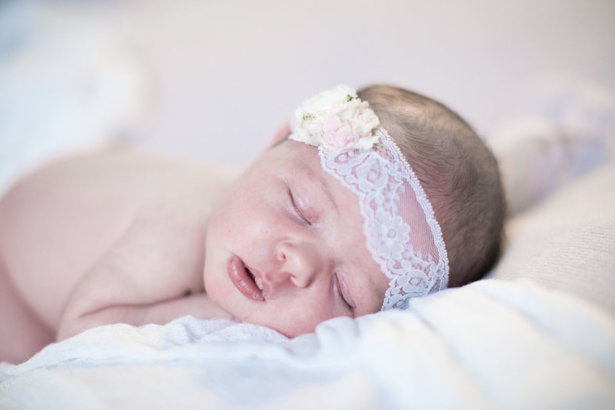 Luray Newborn Photographer 0002