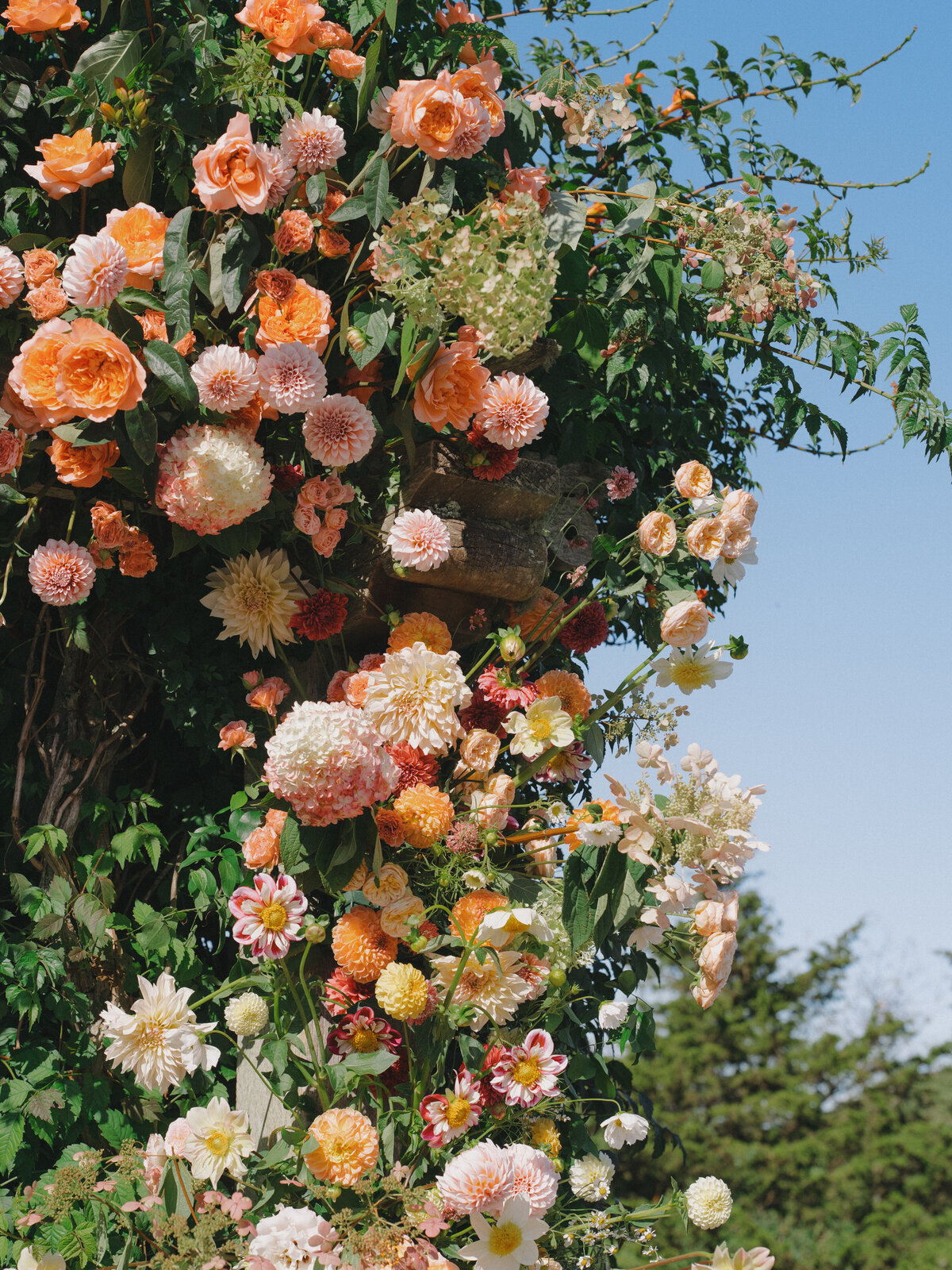 250830JENMAT_adv0131