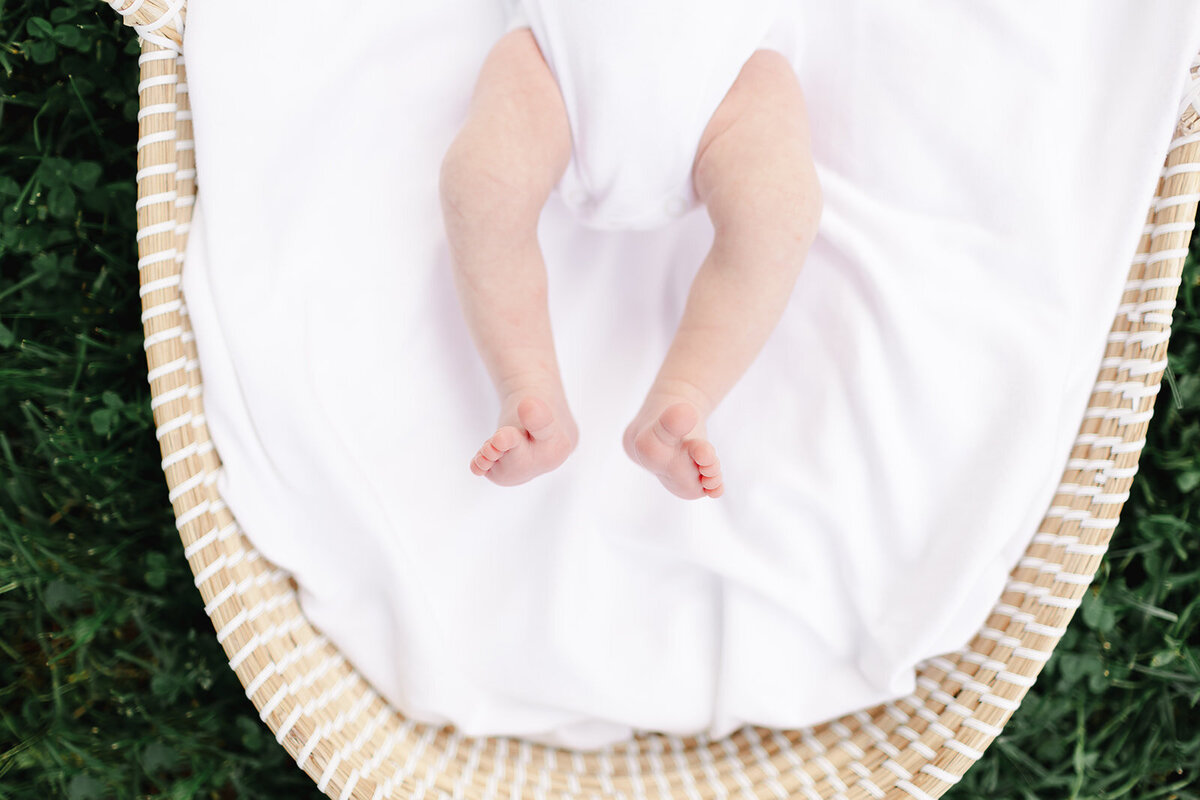 Baby Bentley_437_websize