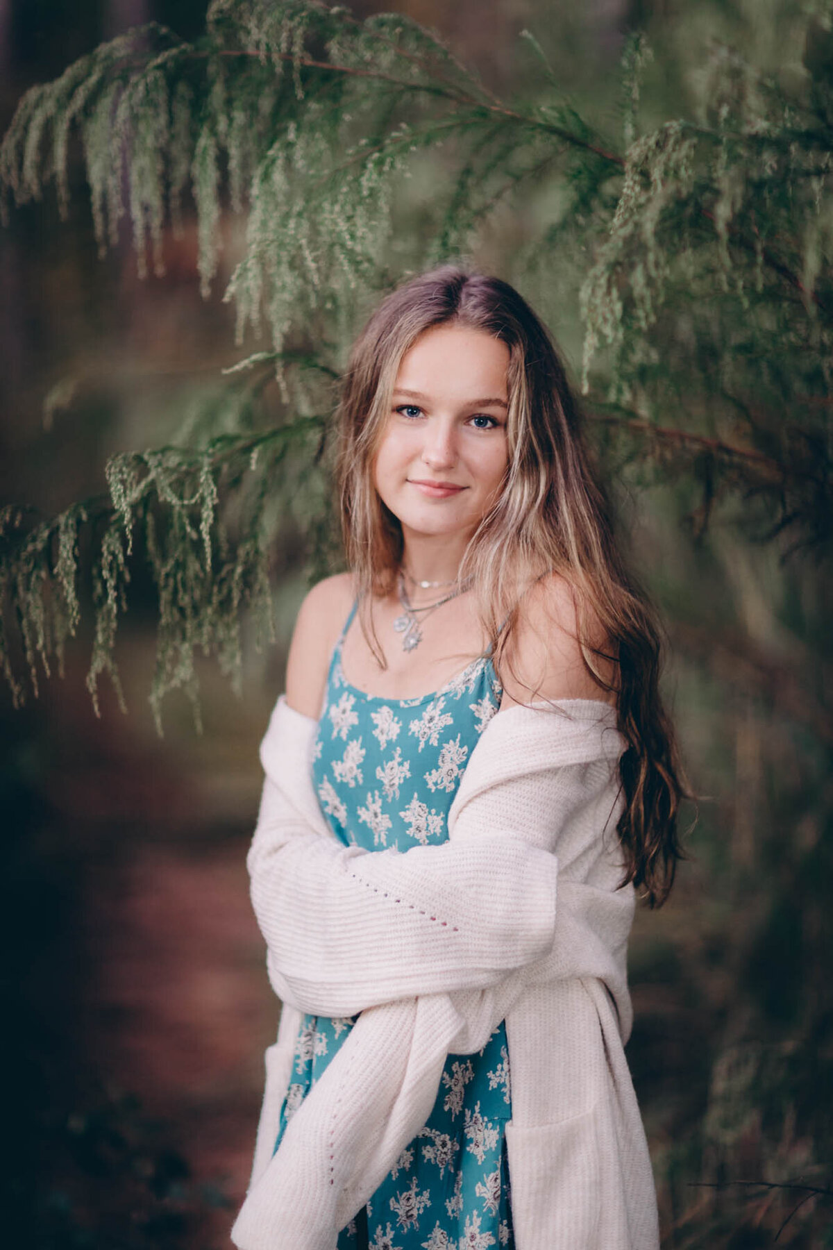 Gorgeous senior portrait of a a girl in a blue dress and a white sweater under the branches of a tree.