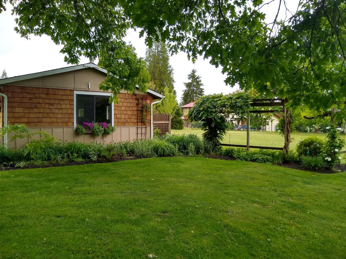 View of green grass and backyard and cottage.