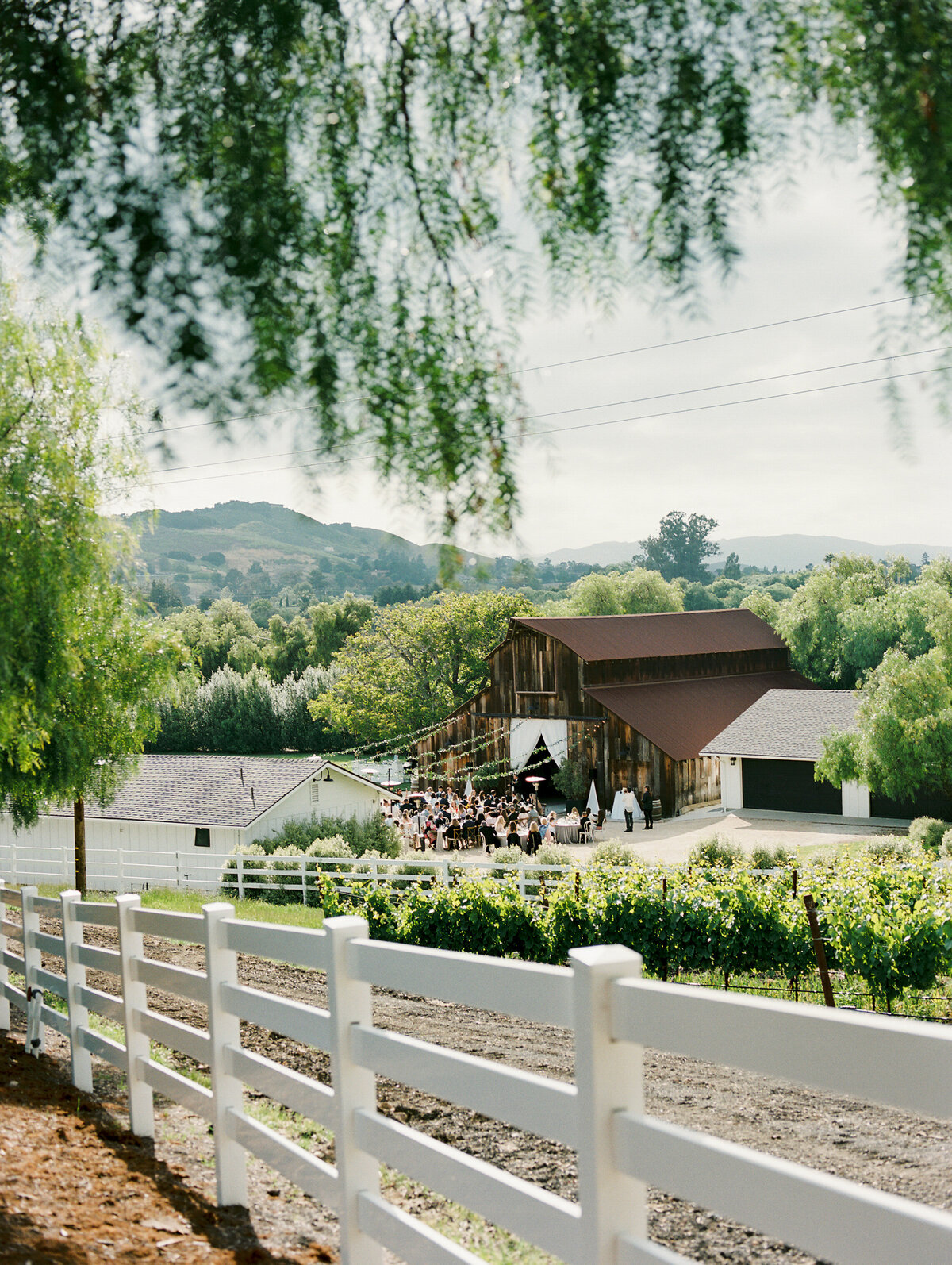 greengate ranch and vineyard wedding photographer-40