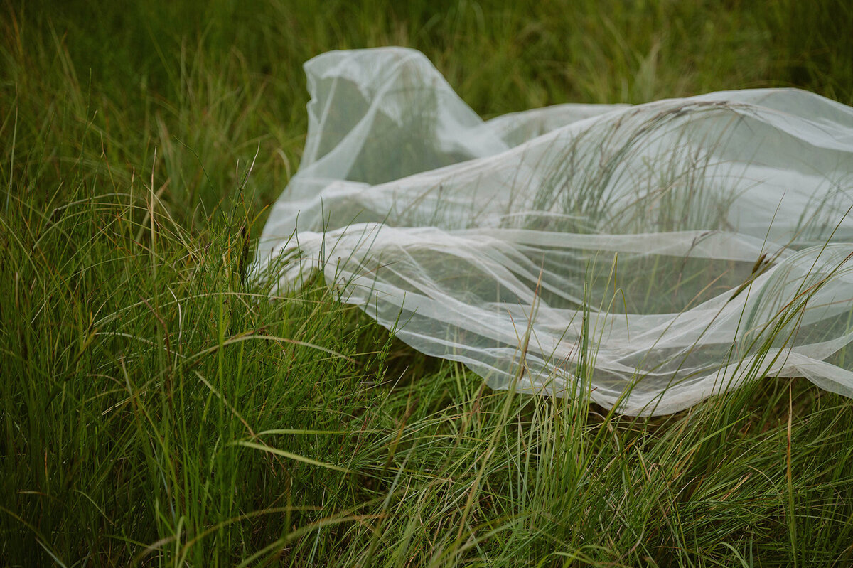 07-21-25_Daisy & Walker_Ekutna Lake_PRPLLC-50