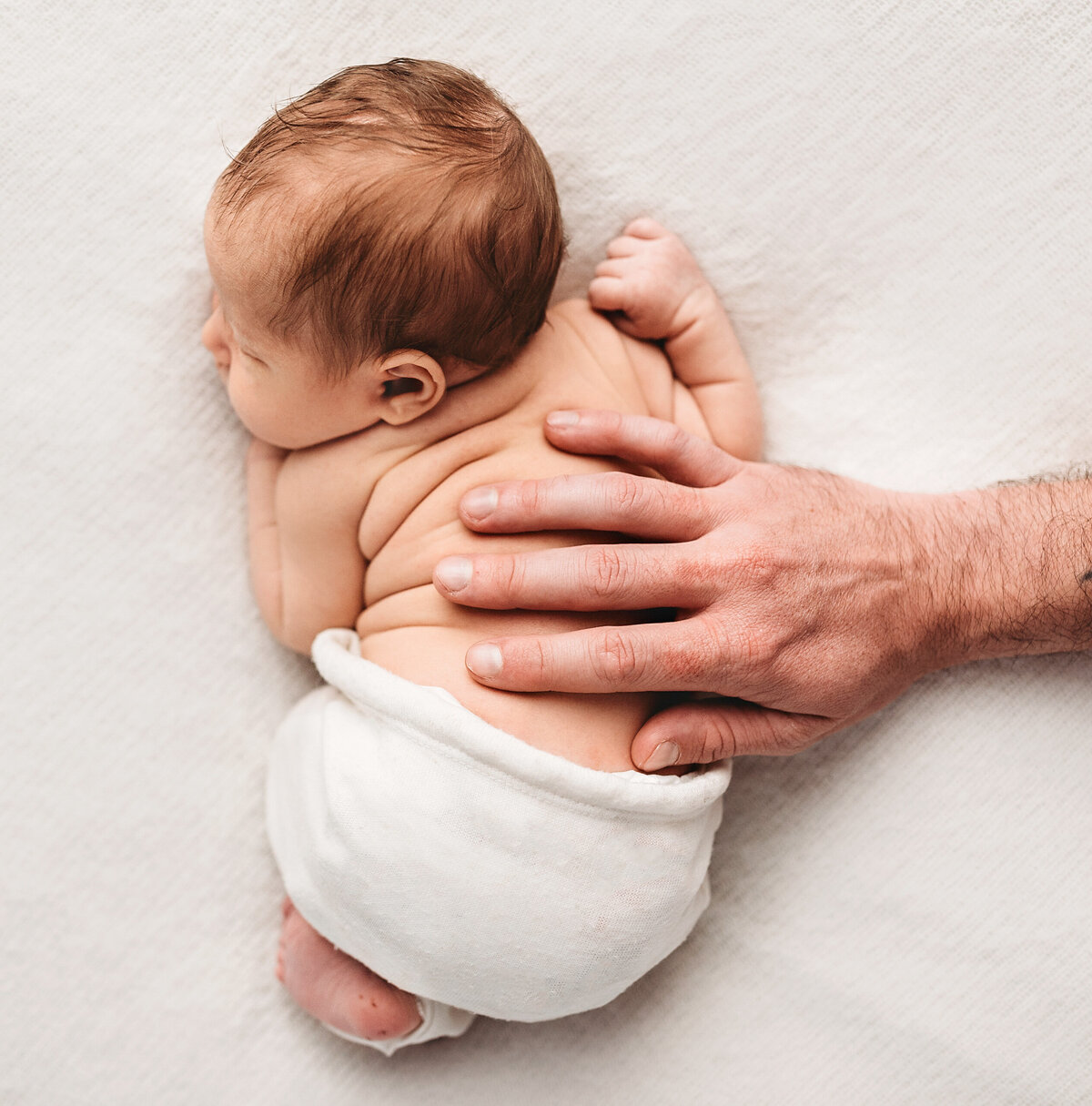 dad holding his hand over newborn photography perth rolls | gracie and the Wren