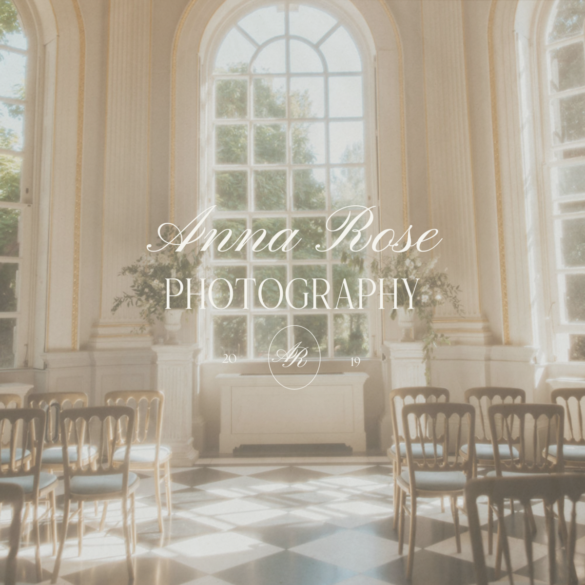 Website Portfolio Layout