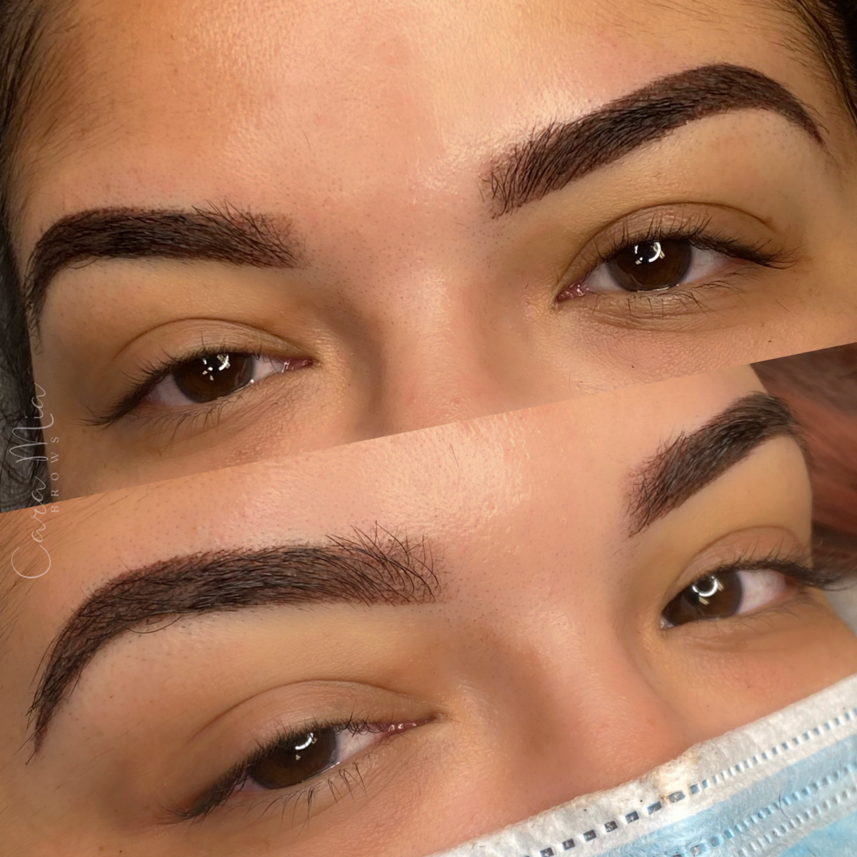 Ombre Powder Brows before and after