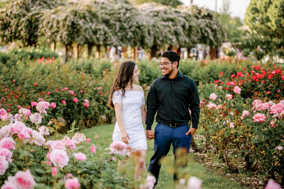 San Jose Rose Gardenl Session-12