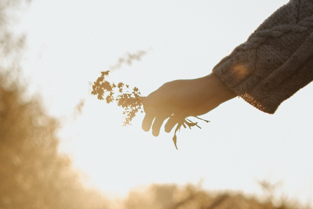 sechelt-couples-session-chelsea-brown-photography-29