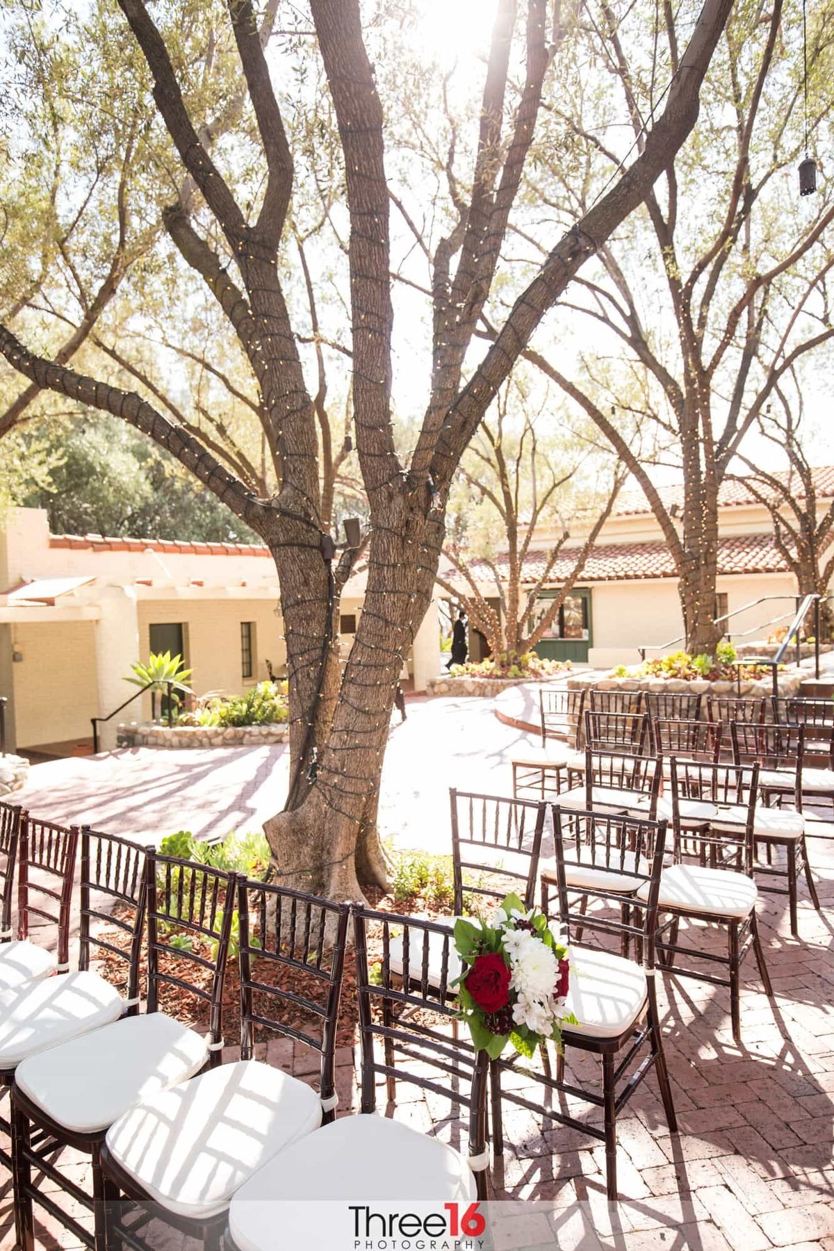 Tree in the middle of seating for a wedding ceremony