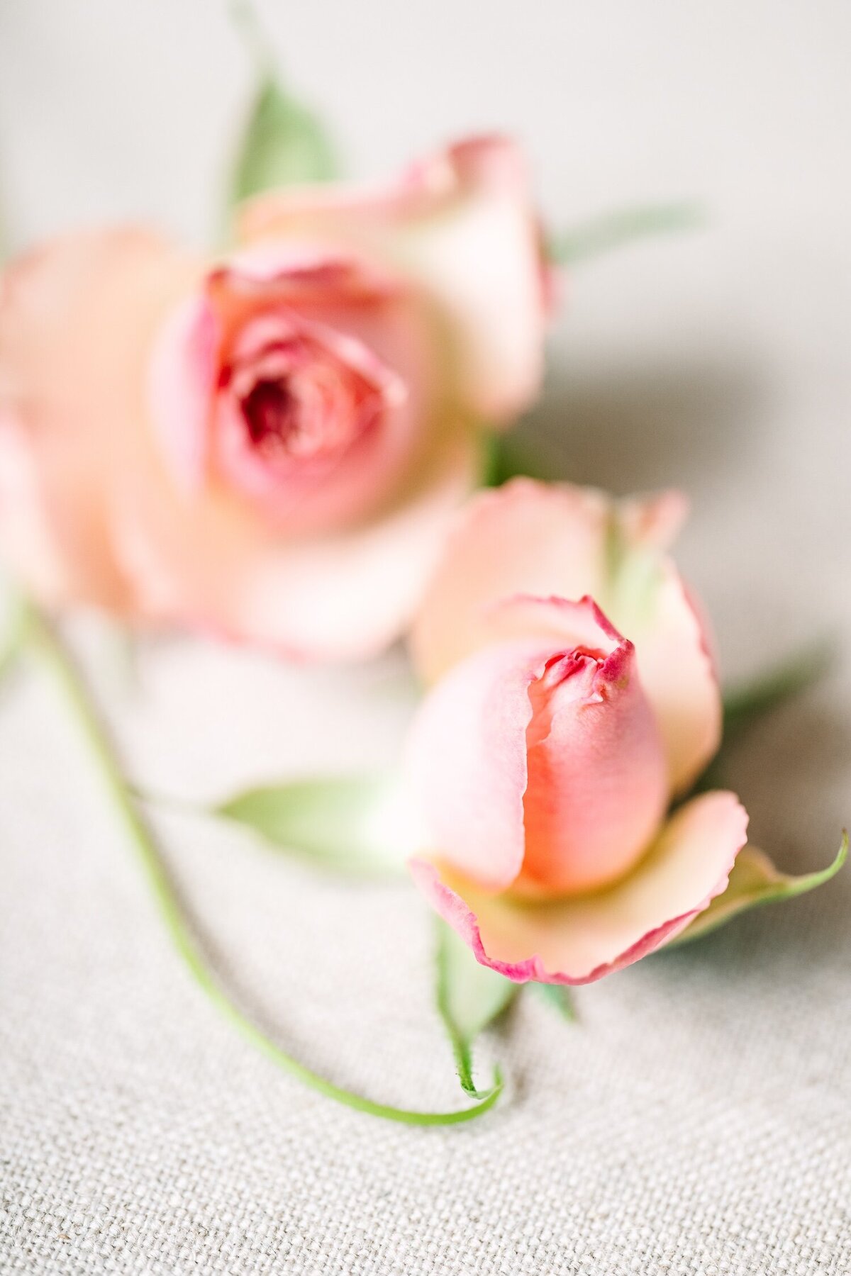 1Sharelle-Knight-Photography-Granite-Belt-Wedding-April-and-Dan-Bridal-Details-9
