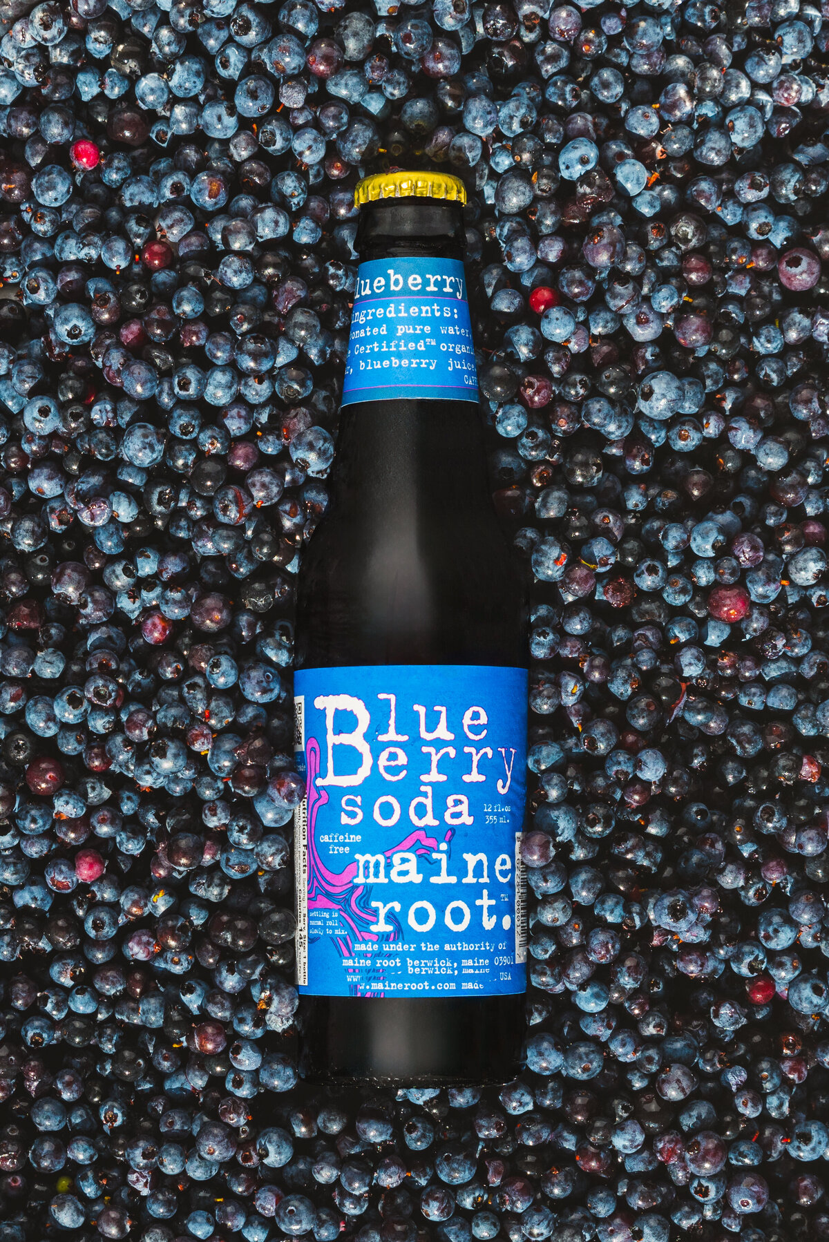 Maine Root Bottle BB