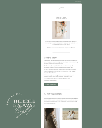 FlowBuro portfolio_mailerlite luv bridal