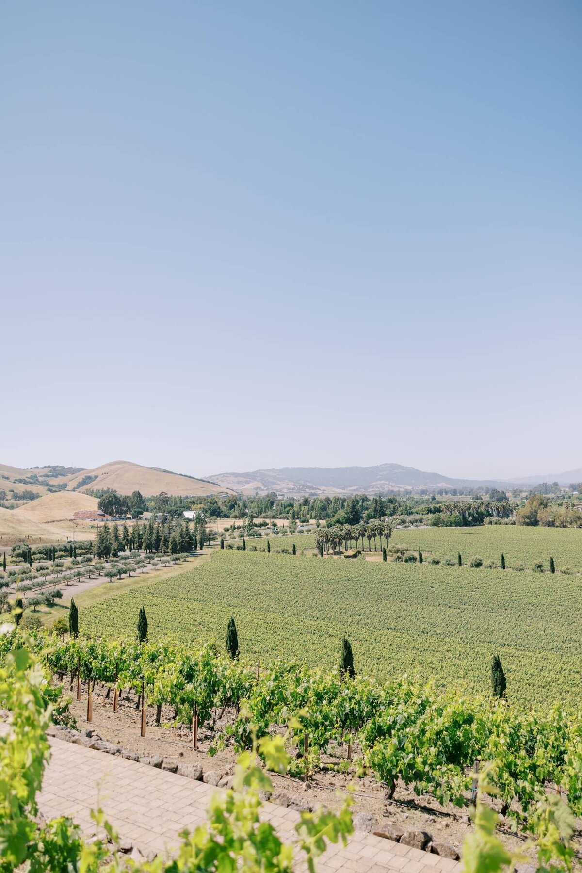 viansa winery sonoma california_0018