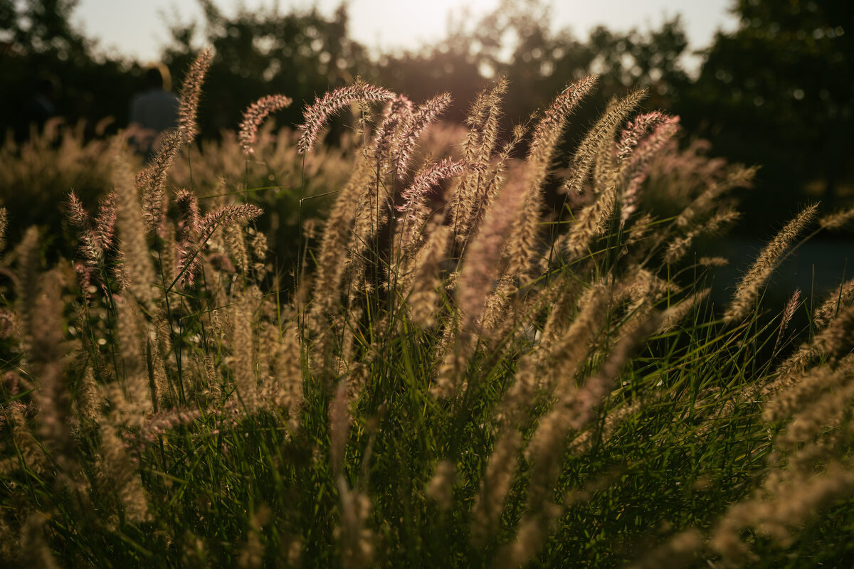 rosefreedmanphotography-37