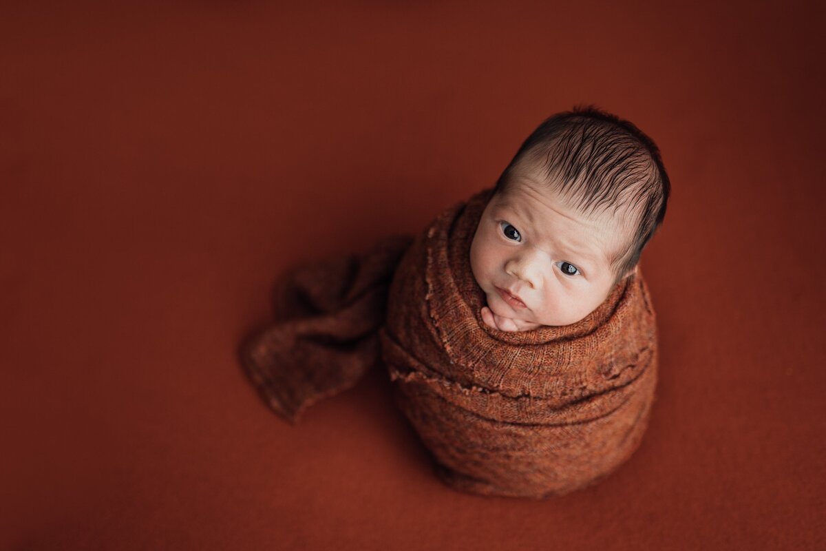 boy on rust at newborn photography session in Tampa
