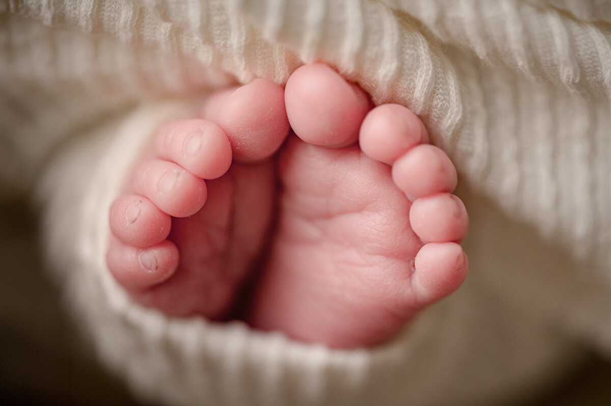 Eloise Newborn 030