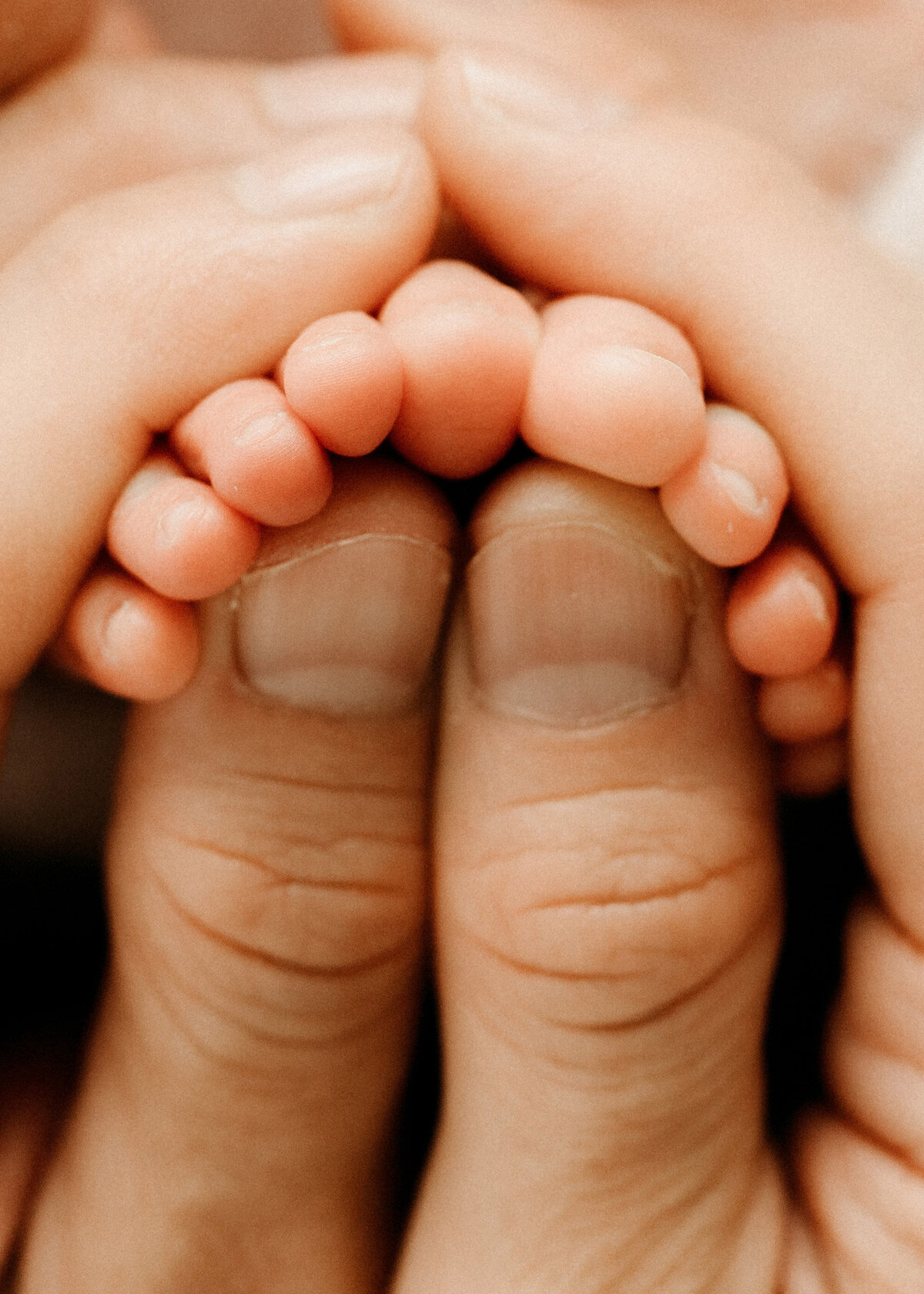 Newborn-photographer-san-diego-7