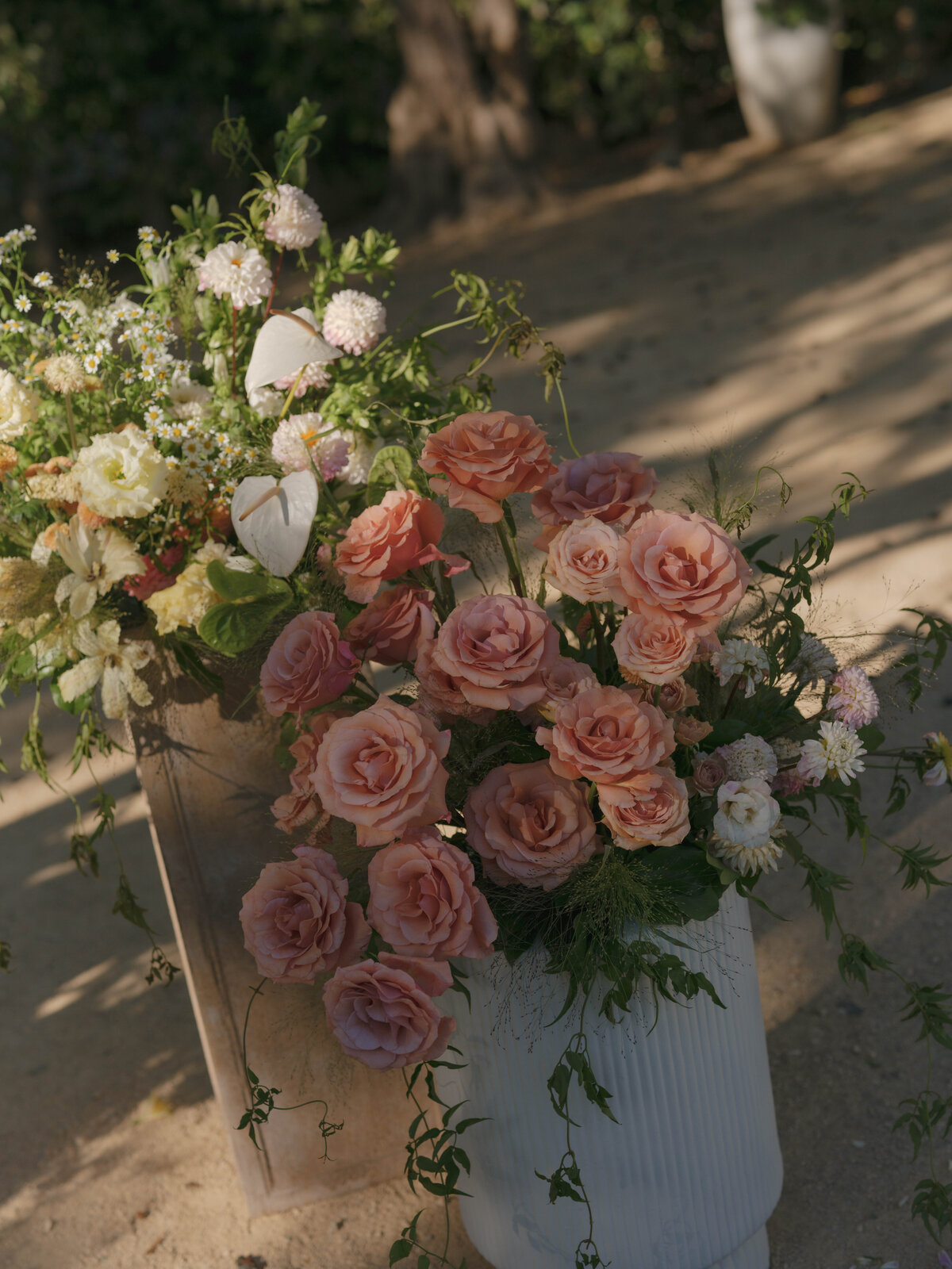fionatangphotography-3378